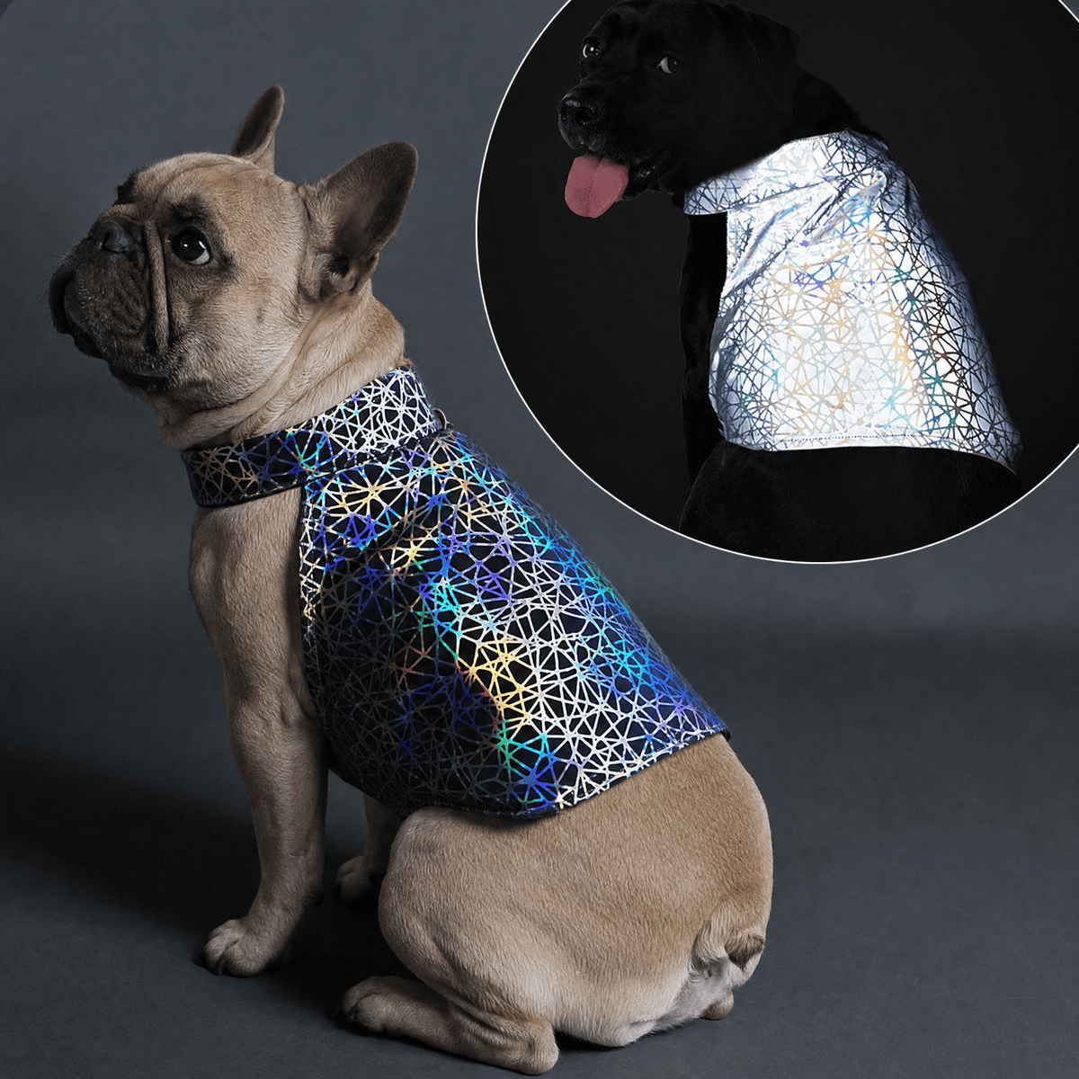 Reflective Pet Clothing